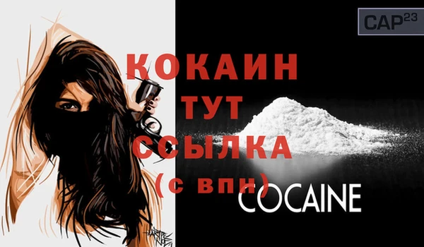 МДПВ Абаза