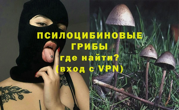spice Абдулино