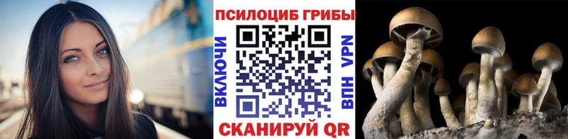 MEGA ССЫЛКА  Туринск  Галлюциногенные грибы мухоморы  наркошоп 