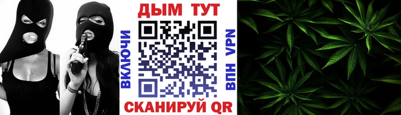 Бошки марихуана Ganja  где продают наркотики  Туринск 